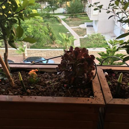 Orange Garden Apartment อันตัลยา ภายนอก รูปภาพ