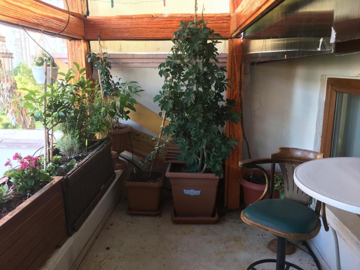 Orange Garden Apartment อันตัลยา ภายนอก รูปภาพ